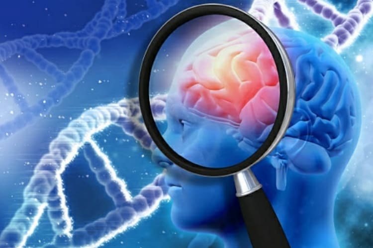Alzheimer: ecco chi è più predisposto