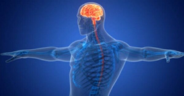 Cervello in pericolo: Prevenire gli Ictus Cerebrali, Sintomi da Non Ignorare e Le Ultime Ricerche degli Esperti