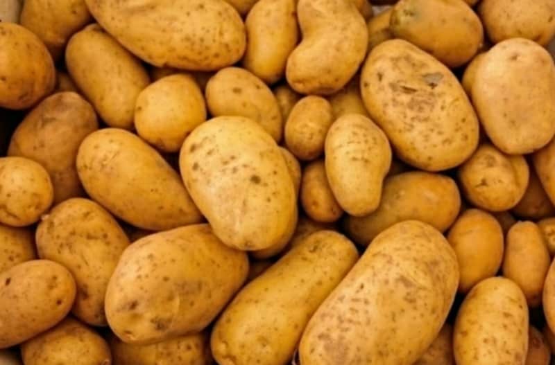 Conservare bene le patate: ecco scopriamo insieme come conservarle bene e il segreto per non farle germogliare facilmente.