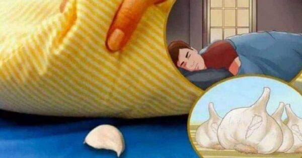 Cosa succede se prima di andare a dormire metti uno spicchio d'aglio sotto il cuscino