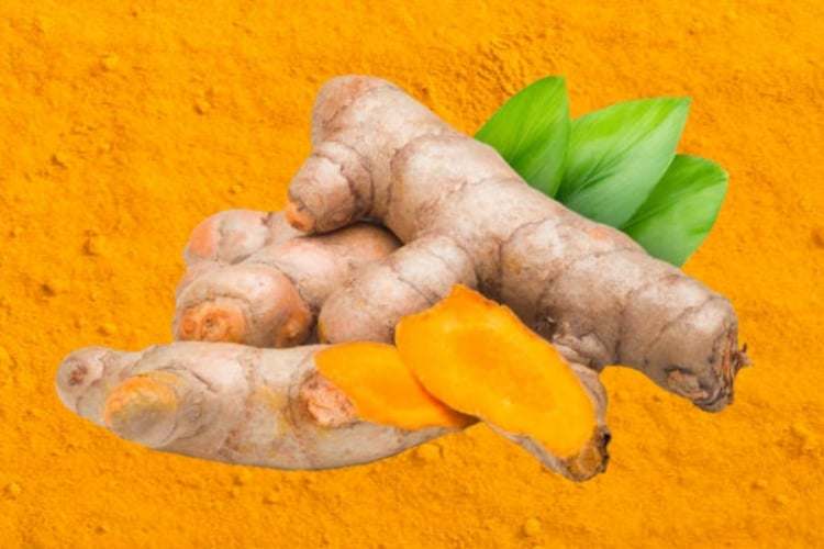 “Curcuma: Il Potente Oro Giallo della Salute – Scopri le Proprietà Curative, Benefici per la Salute, Consigli Dietetici e Modi Creativi per Integrarla nella Tua Vita Quotidiana!”