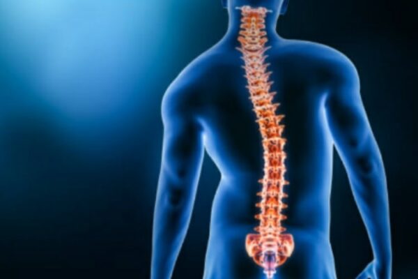 Curva della vita scopri sintomi, cure e terapia della scoliosi