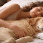 Dormire con il cane nel letto: benefici emotivi e legame profondo 