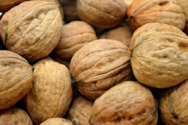 I benefici nascosti delle noci