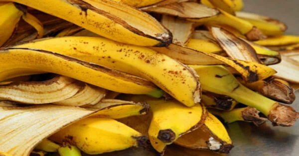 La Buccia della Banana: Un Ottimo Fertilizzante per le Piante