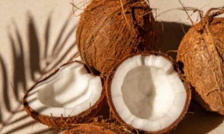 La Noce di Cocco: Tutti i Benefici per la Salute