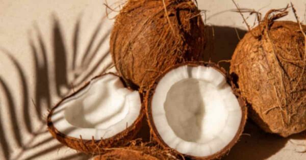 La Noce di Cocco: Tutti i Benefici per la Salute