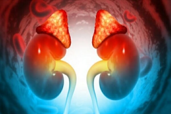 Malattia renale di è a rischio e regole di prevenzione