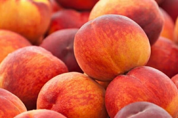 Mangiare una pesca al giorno