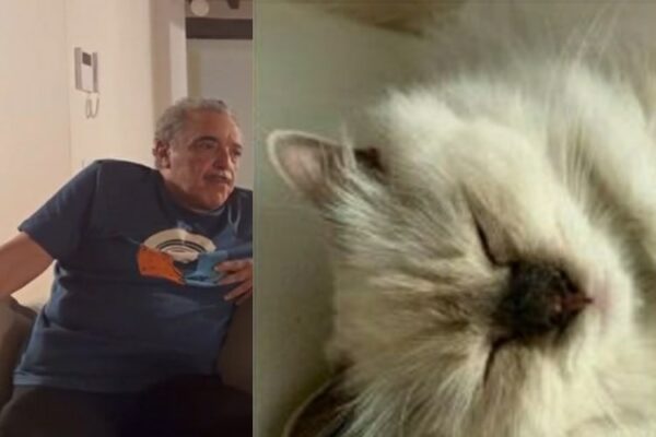 Nino Frassica offro 10mila euro riportatemi Hiro