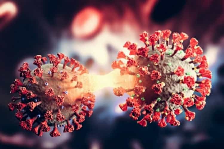 Covid: Omicron 2, come riconoscere la nuova variante.