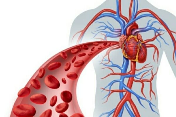 Omocisteina il nemico nascosto della tua salute