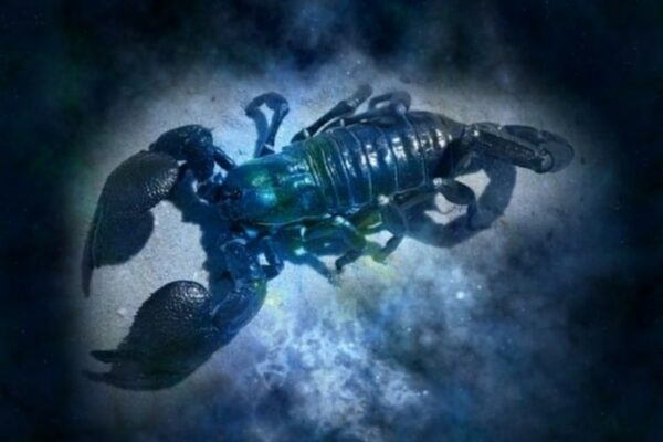 Oroscopo scorpione