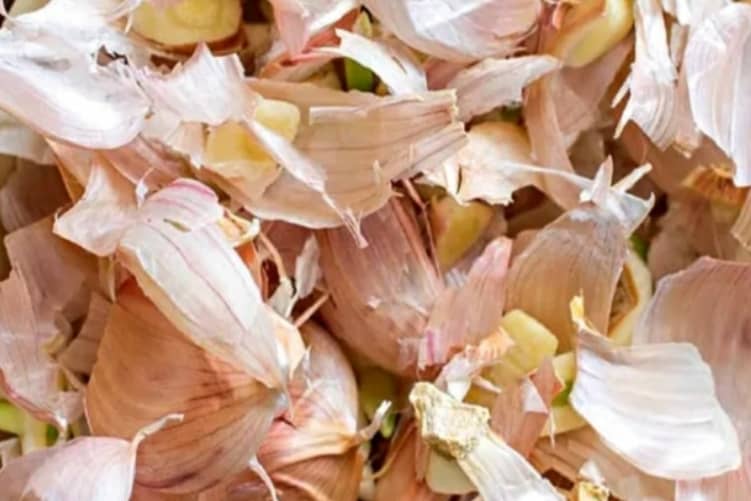 “Oro nascosto nella cucina: perché la buccia d’aglio non va mai buttata via”