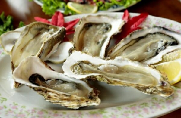 Ostriche contaminate: allarme batterio mortale