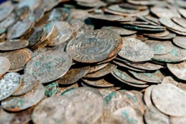 Rara moneta del 1776 acquistata per 50 centesimi