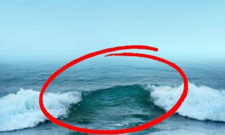 Spiaggia sicura o pericolo nascosto? Scopri perché dovresti evitare quei punti senza onde!