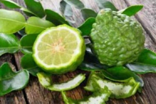 Stop al colesterolo con l'oro verde