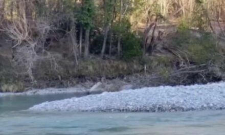 Tragedia sul Fiume Natisone: La Richiesta Disperata di Aiuto di Patrizia Cormos