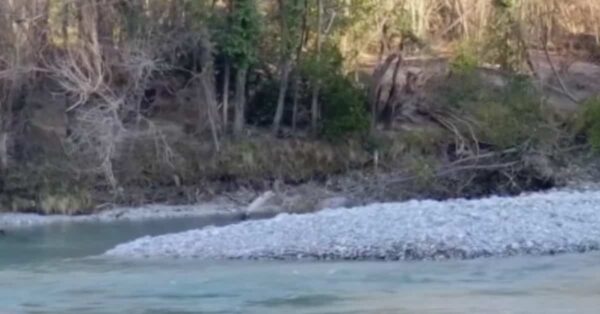 Tragedia sul Fiume Natisone: La Richiesta Disperata di Aiuto di Patrizia Cormos