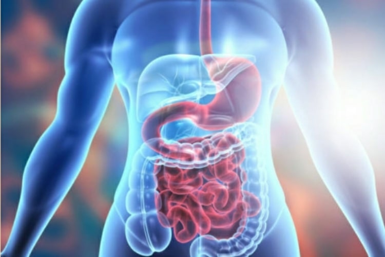 Riconoscere Precocemente il Tumore all’Intestino: Sintomi da Non Sottovalutare