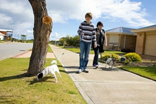Un adolescente di 13anni
