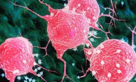 Un batterio dall’intestino delle rane: la scoperta che sorprende la scienza