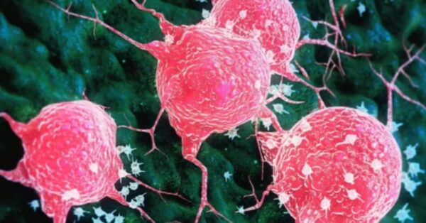 Un batterio dall’intestino delle rane: la scoperta che sorprende la scienza