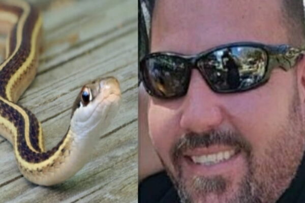 Uomo salva asilo nido dopo muore da un morso dal serpente