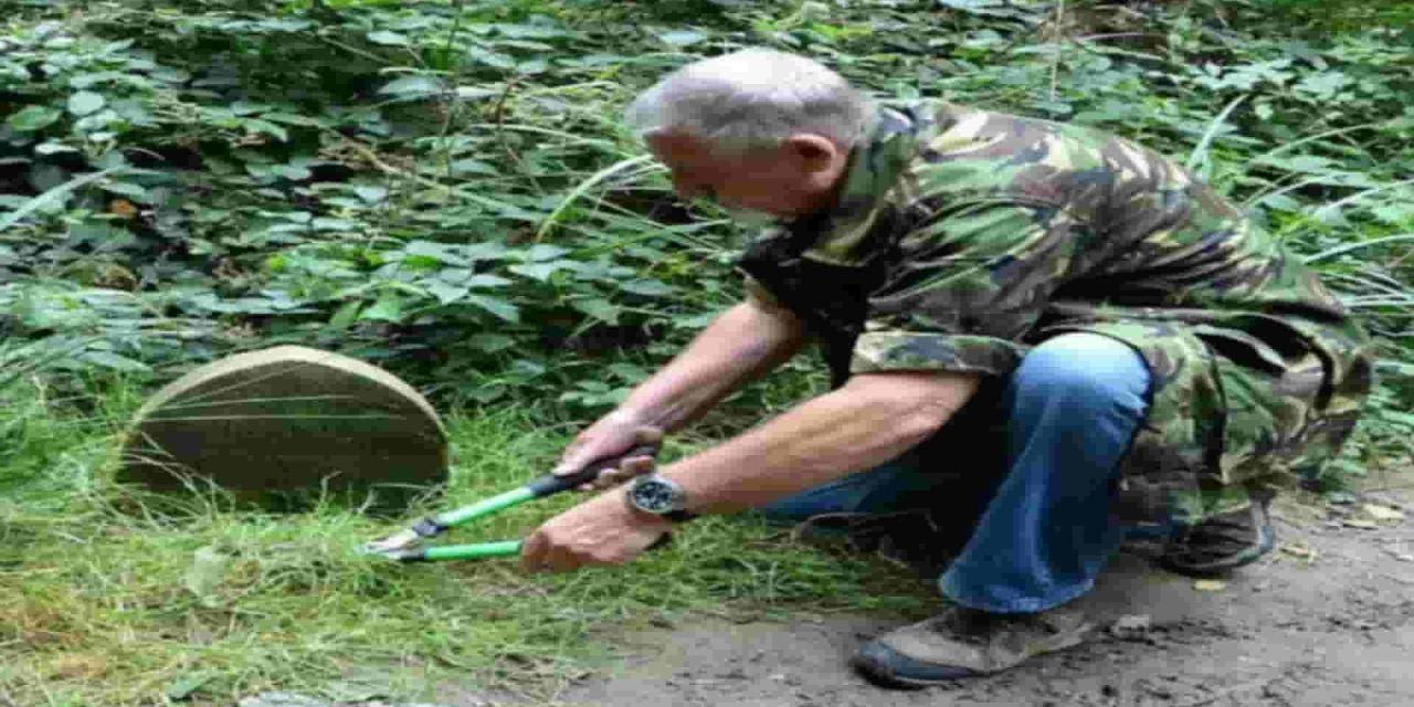 Scoperta nel bosco: Un uomo inciampa su una Pietra e Scopre un Segreto Millenario