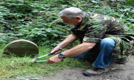 Scoperta nel bosco: Un uomo inciampa su una Pietra e Scopre un Segreto Millenario
