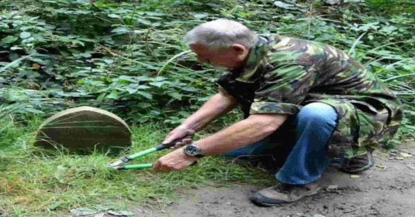 scoperta nel bosco:Un uomo inciampa su una Pietra e Scopre un Segreto Millenario